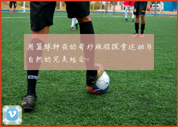 用篮球种花的奇妙旅程探索运动与自然的完美结合