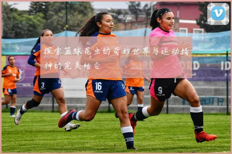 探索篮球昆虫的奇妙世界与运动精神的完美结合