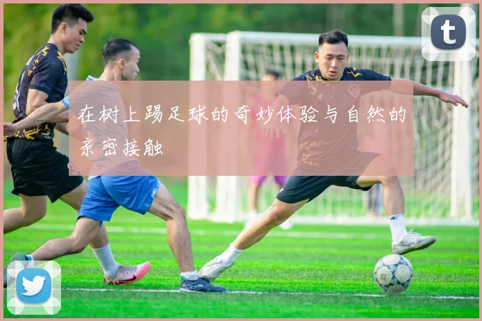 在树上踢足球的奇妙体验与自然的亲密接触