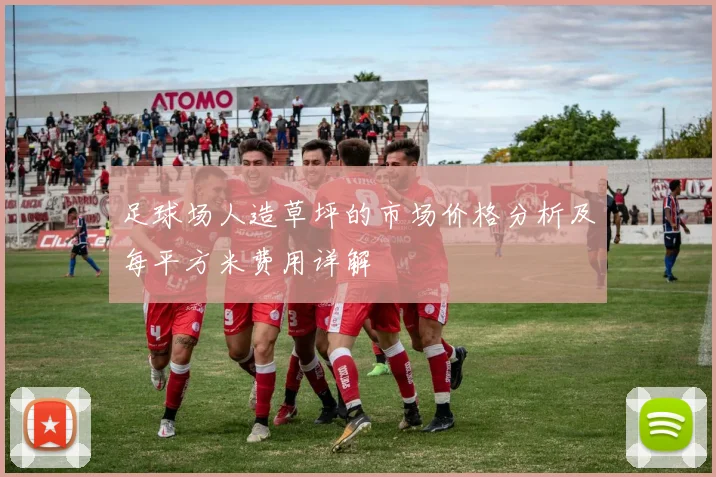 足球场人造草坪的市场价格分析及每平方米费用详解