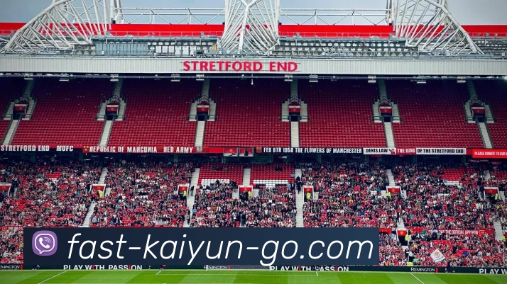 Kaiyun平台生态图