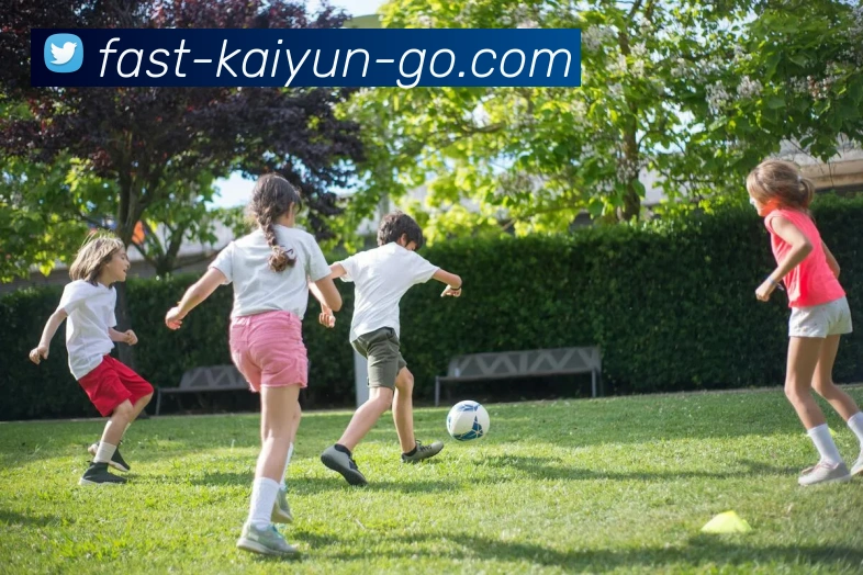KaiyunAPP 高清赛事图